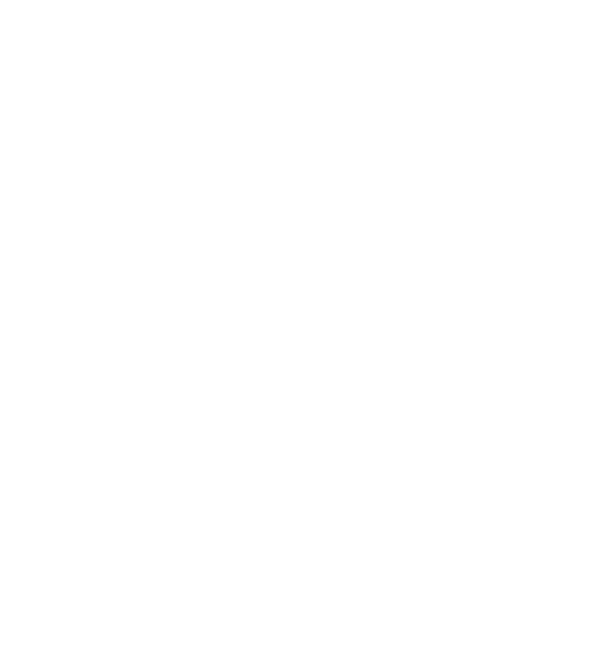 shrimp elemant