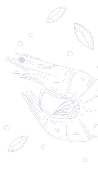 Shrimp-02